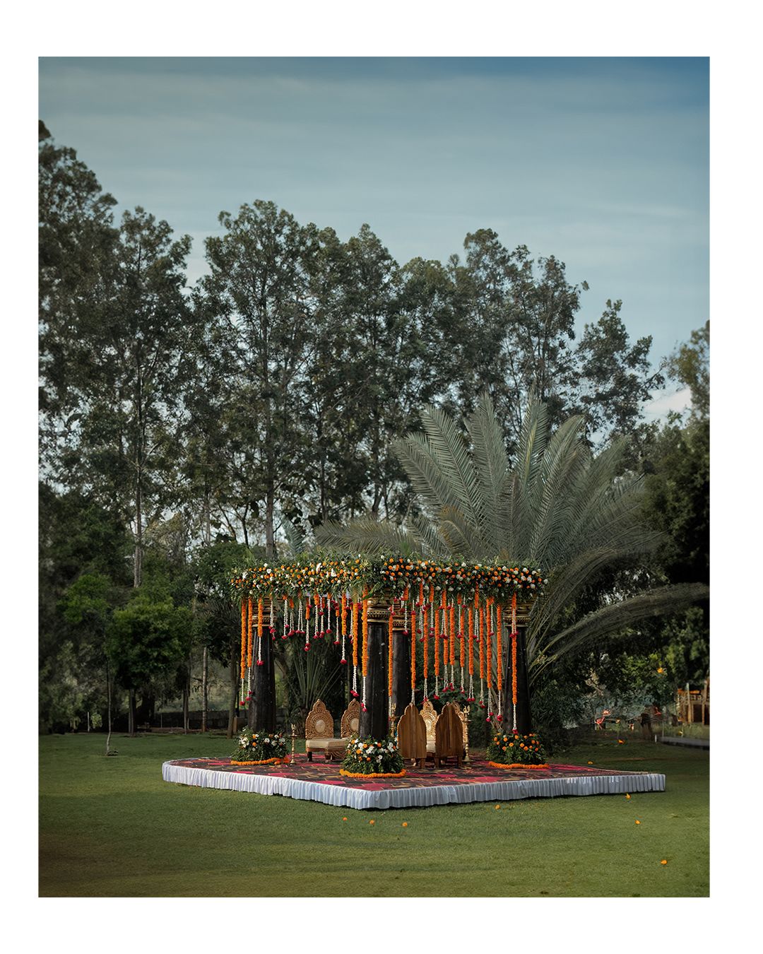 Wedding 5